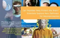 Vai peptīdi var palīdzēt aizsargāt smadzenes? Zinātnieki pēta jaunus neiropro...