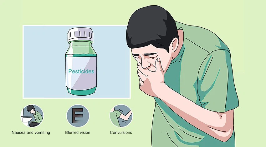 Pradoxime chloride powder