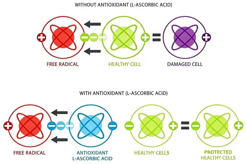 70Diosmetin powder A 70Diosmetin powder A